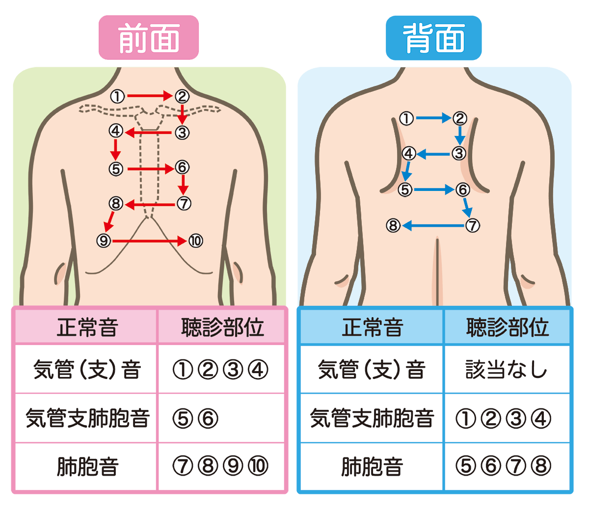 肺音